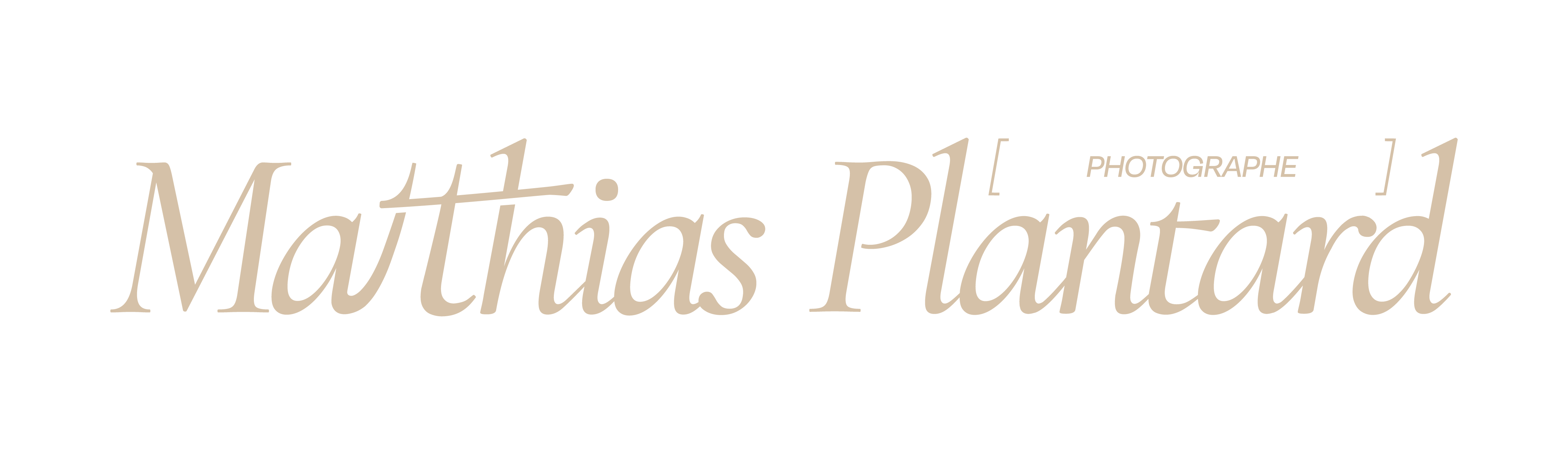Horse'n liberty logo